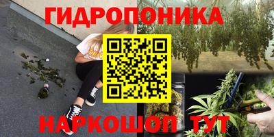 прущие грибы Берёзовский