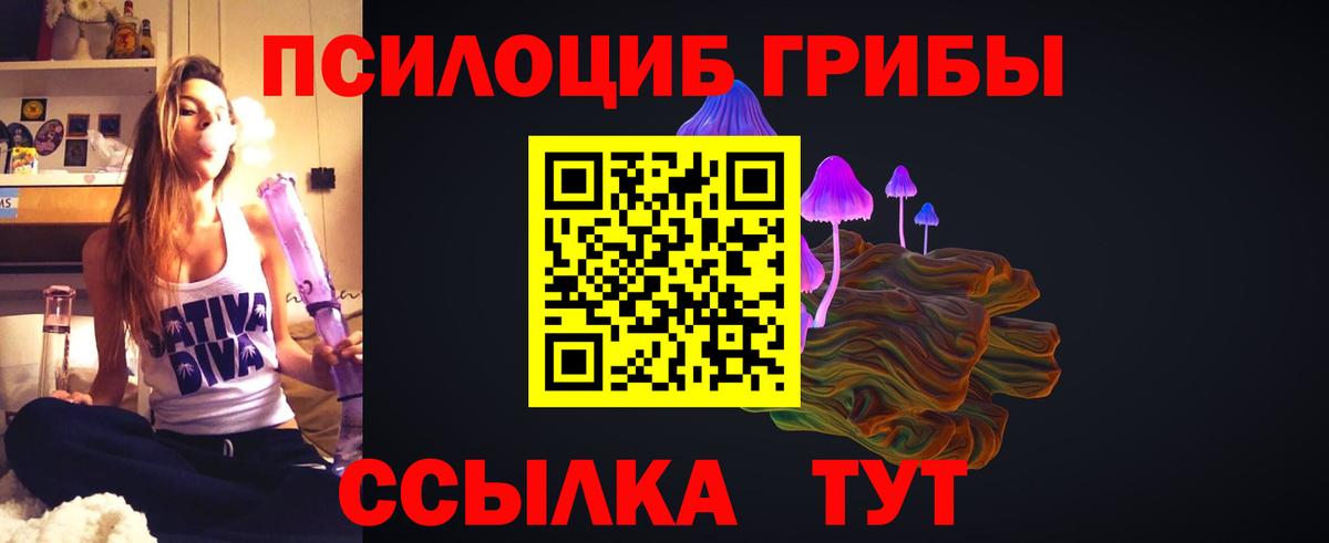 Избербаш  Псилоцибиновые грибы мухоморы  Вход с VPN 