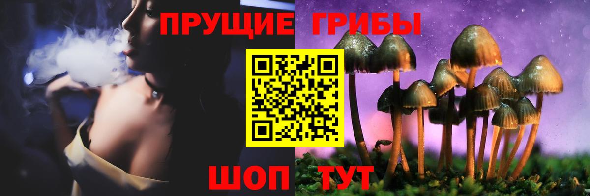 Псилоцибиновые грибы MAGIC MUSHROOMS Избербаш